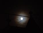 dsc00051.jpg